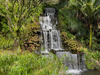 A cascading waterfall surrounded by tropical greenery in New Zealand