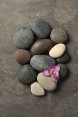 Fototapeta na wymiar Spa stones and orchid flower on grey table, flat lay