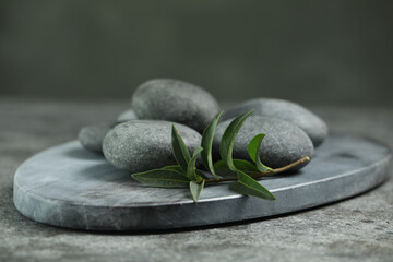 Spa stones and branch of plant on grey table, closeup