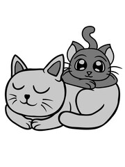 Freunde 2 Katzen aufeinander 