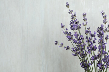 Beautiful lavender flowers on light background, closeup. Space for text