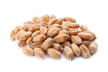 Pile of wheat grains on white background