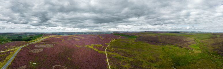 Fototapeta na wymiar Peak District National Park - panoramic view over the heather fields - travel photography