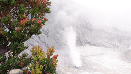 Nature Landscape and White Craters in Highland Place