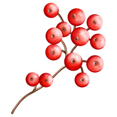 Christmas Holly berries, Digital paint watercolor illustration