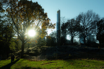 Obraz premium sunset in the park