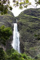 waterfall in the forest