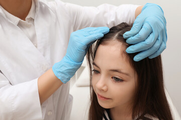 Doctor examining little girl's hair indoors. Anti lice treatment