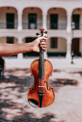 violin