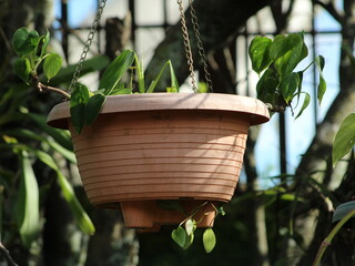 Hanging pot in a garden
