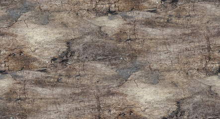 wooden texture, real photo of a wood background, tree trunk