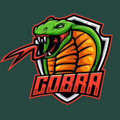 cobra mascot logo e sport illustration