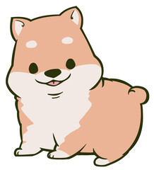 こちらを見つめる柴犬のこども