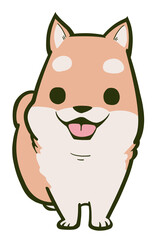 こちらを見つめる柴犬