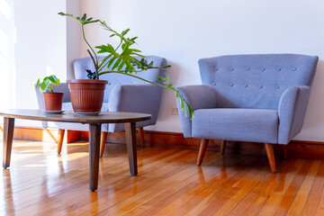 modern living room