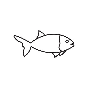 sea fish icon