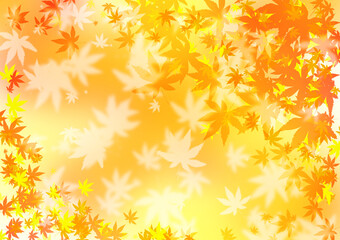 Obraz premium 秋の楓の背景