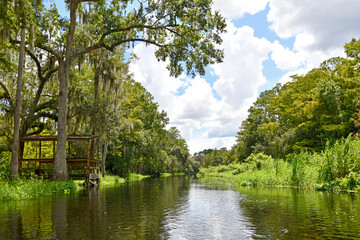 Fototapeta na wymiar Exploring Shingle Creek on a kayak Eco Tour through a beautiful cypress forest in Kissimmee,Osceola County just south of Orlando, Florida