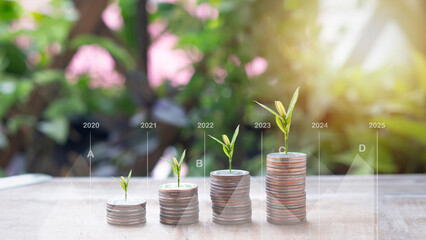Fototapeta na wymiar A little tree growing on a stack of coins and a graph showing statistics 2020-2025. Business finance and saving money investment concept. .
