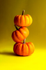 three cute mini pumpkins on bright yellow background. Autumn theme. Space for text 