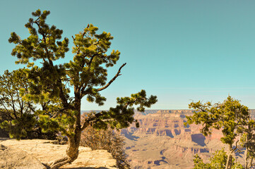Fototapeta premium Grand Canyon NP