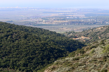 Landscape in the mountains in northern Israel.