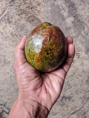 A man's left hand, holding an avocado 