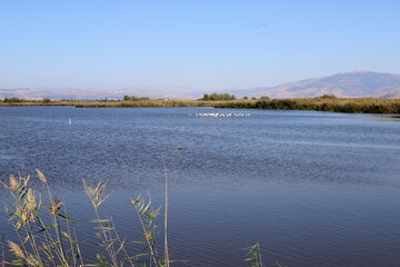 Landscape in the mountains in northern Israel.