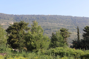 Naklejka premium Landscape in the mountains in northern Israel.