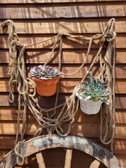 Wooden wall decoration with cactus plant pots and rope.