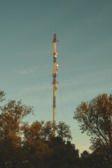 vertical image of communication, television, radio and telephone antenna illuminated by the sunset sun