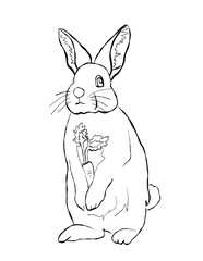 rabbit and carrot