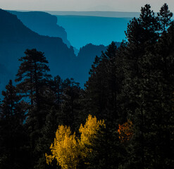 Fall Color sunrise in the mountains