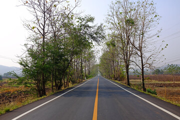 Fototapeta na wymiar Empty asphalt rural road through the dried field.