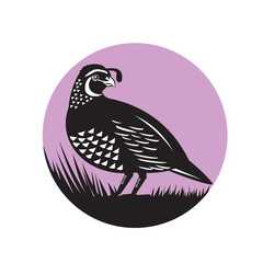 California Valley Quail Bird Circle Retro