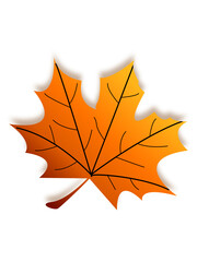 Sepia Autumn Maple Leaf on a white  background