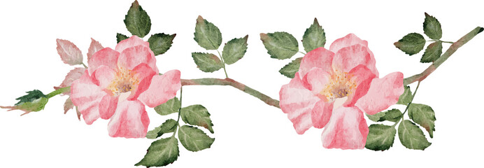 watercolor blooming rose branch flower bouquet devider