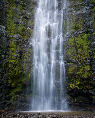 Fototapeta na wymiar Waimoku Falls Waterfall in the rainforest, Haleakala National Park, Maui Hawaii