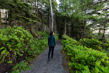 Naklejka na ściany i meble Adventurous Women Walking on Hiking Trail at Sunrise. Ancient Cedars Loop Trail. Ucluelet, British Columbia, Canada. Adventure Travel.