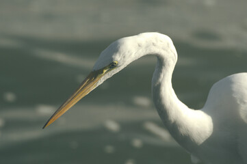 Developed using darktable 3.8.1