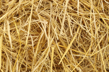 Dry straw texture for background and design art work, bales of cereal straw for cow and horse.