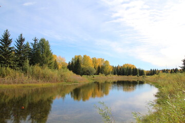 Fototapeta na wymiar lake in autumn, Gold Bar Park, Edmonton, Alberta