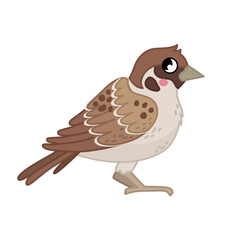 Vector  illustration of cartoon cute sparrow isolated on white background.