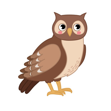 Vector  illustration of cartoon cute owl isolated on white background.