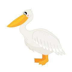 Vector  illustration of cartoon cute pelican isolated on white background.