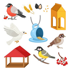 Vector illustration set of urban birds and different bird feeders. Cute cartoon pigeon, sparrow, titmouse and bullfinch..