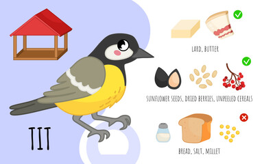 Vector poster how to feed a city ​​birds. List of allowed products. Cartoon illustration of a cute tit.
