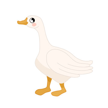 Vector  illustration of cartoon cute goose isolated on white background. Farm animals collection. 