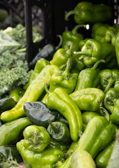 Locally grown green bell peppers for sale at a local farmers market