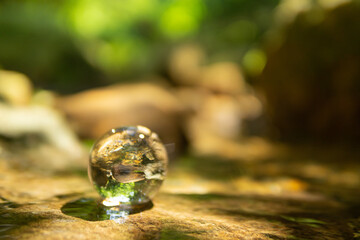 森林と水晶玉